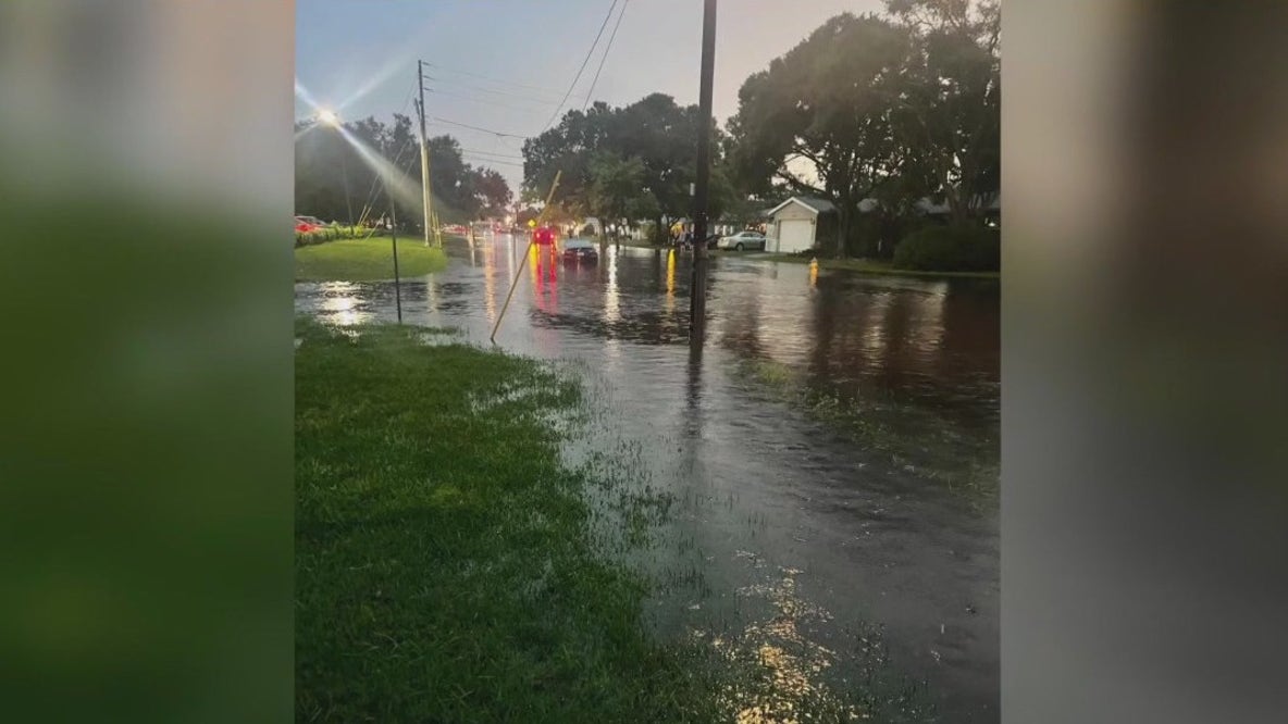 Flooding issues in St. Pete after storms